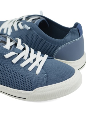SCOZS1293-3