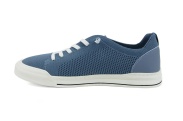 SCOZS1293-3